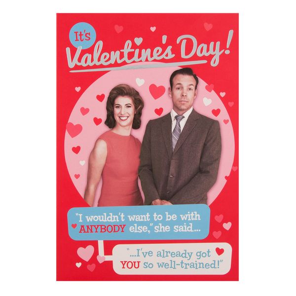 Hallmark Valentine's Day Card 'So Well Trained' - Medium