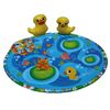 Ducky Pond Splash Pond Mat