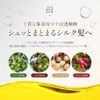 COCO KINU Silk Shampoo, Beauty Salon Exclusive, Damage Care, Dense Foam, Silky Savon Scent