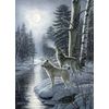 Cobble Hill 1000 Piece Puzzle - Wolves by Moonlight - Sample Poster Included