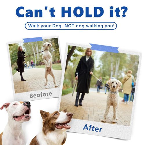 Supet No Pull Dog Training Collar, Adjustable Dog Training Collar with Quick Release Buckle for Small Medium Large Dogs(Packed with One Extra Links)