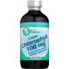 World Organics Chlorophyll, 100 mg, Liquid 8 FL Oz