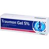 TRAUMON Gel 5% 100 g