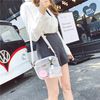 Enkrio Clear Bag Stadium Approved Clear Purse Mini Clear Messenger Bag Matte Cross Body Bag with Adjustable Strap for Women Men