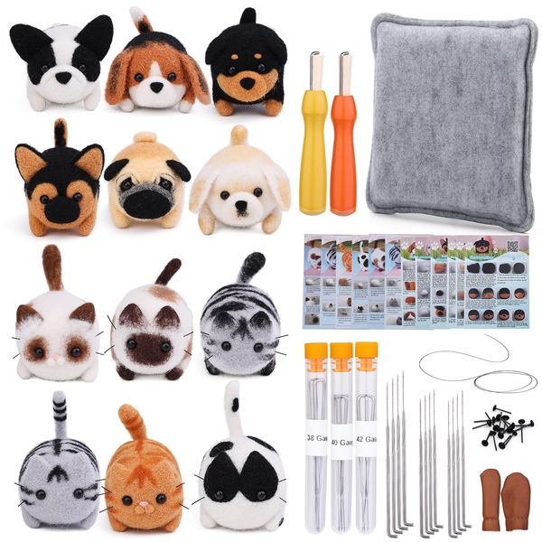 RMTIME Needle Felt Kit 12 Pieces Doll Making Wool Needle Felt Starter Kit with Instructions Felt Foam Mat and DIY Needle Felt Supply for DIY Craft Animal Home Decoration Birthday Gift