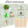 Natural Exfoliating Loofah Sponge - eco Friendly Organic Loofah Luffa Sponges, Body Scrubber for Shower Scrubbing, Egyptian Real Loofa, Bath Puff for Bathing, Spa, Massaging Daily Skin Cleansing Care