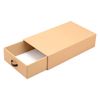 Boot Storage Box, Set of 2, Cardboard Storage, Complete Product, No Assembly Required