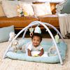 Ingenuity Calm Springs Plush Activity Pal BPA-Free Cloud Teether, Multi-Texture Fabrics, Sheppy
