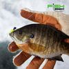 Fish Monkey FM32 L/XL Wooly Long Full Finger Wool