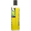 ShiKai Shower Gel, Cucumber Melon, 12-Ounces