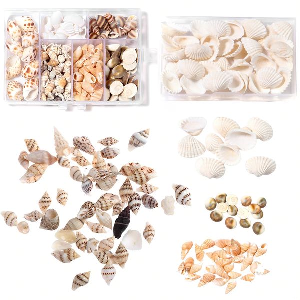 Vueinrg Muscheln Deko Muscheln zum Basteln Gemischte Muscheln Natürliche Spiral Muschel Deko Klein Jakobsmuschel Kein Loch Muscheln für Armbänder DIY Kerzenherstellung Aquarium Vasenfüller (7 Stil)