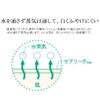 Care Reavu Sticking M Size Waterproofing- 40 piece