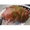 6 Asunta DRAGON FRUIT  CUTTING 10-14 Inches Check Description