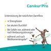 Canikur Pro Paste 60ml