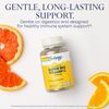 SOLARAY Super Bio C Buffered Vitamin C w/Bioflavonoids, Timed-Release Formula for All-Day Immune Support, Gentle Digestion, 1000mg, 100 CT