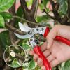 AnT Pruning Scissors, Pruning Shears, Pruning Scissors, Branching Scissors, Gardening Scissors Professional Pruning Shears, Professional Pruning Shears with Safety Lock Durable Gardening Scissors