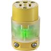 Leviton 515CV-LIT Grounding Lighted Cord End Replacement, 1 pack, Green