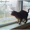 Docazoo 60x8' Pet-Proof Window Screen - Heavy Duty Mesh for Windows & Doors