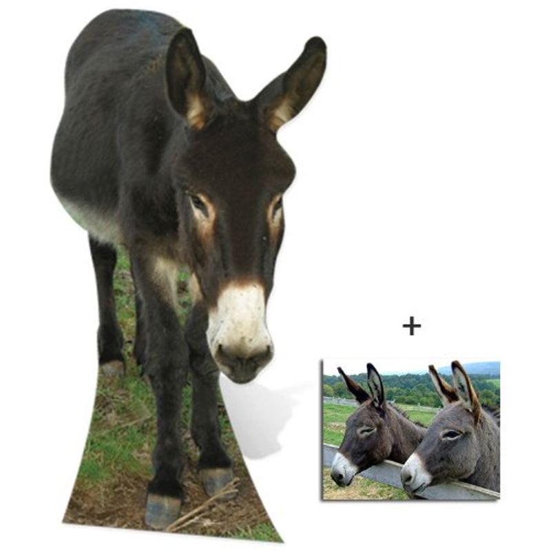 BundleZ-4-FanZ Fan Packs Donkey - Wildlife/Animal Lifesize Cardboard ...