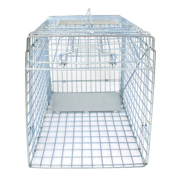 JungleA Animal Trap 24 Inches Cage Trap 1-Iron Door Foldable Live Catch Cage Catch Release Humane Rodent Cage for Raccoons, Cats, Groundhogs, Opossums,Squirrel