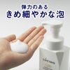 Lucido Total Care Whip Face Wash 150 ml