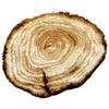 Vervaco Latch Hook Shaped Rug Tree Stump