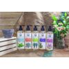 Utama Spice Antiseptic Liquid Soap