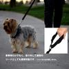 AVILMORE Dog Seat Belt, Headrest, Easy Installation, Safe