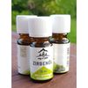 Olio di pino cembro 10 ml