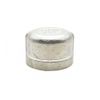 Thrifco 9018080 1/8 Stainless Steel Cap