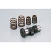 Daytona 47445 High Cam Shaft with Valve Spring