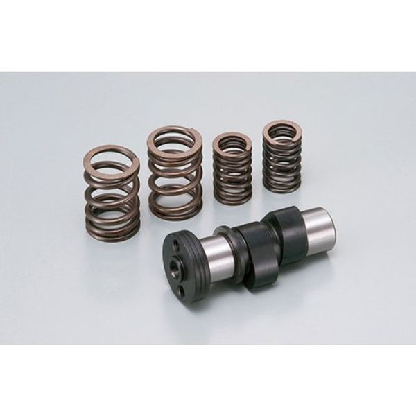 Daytona 47445 High Cam Shaft with Valve Spring