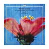 VIVALDI: 6 Violin Concertos for Anna Maria