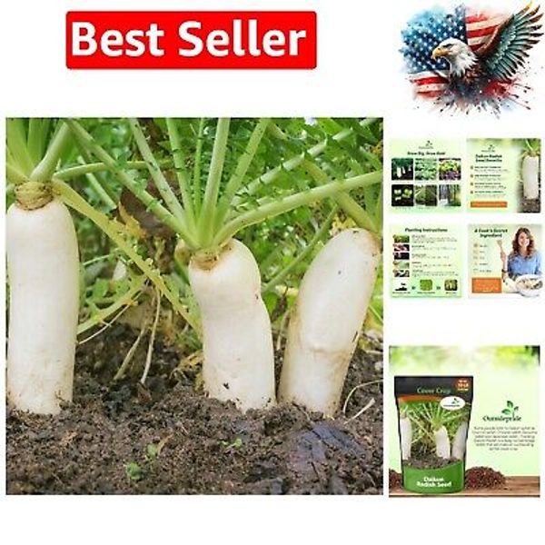 Annual Daikon Radish Seeds 10 lbs for Soil Health and Erosion Control Nutrient