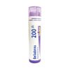 Boiron Belladonna 200CK, 80 Pellets, Homeopathic Medicine for Fever