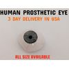Prosthetic Eye GRAY SHADE Human Artificial Ocular Prosthesis MADE IN USA