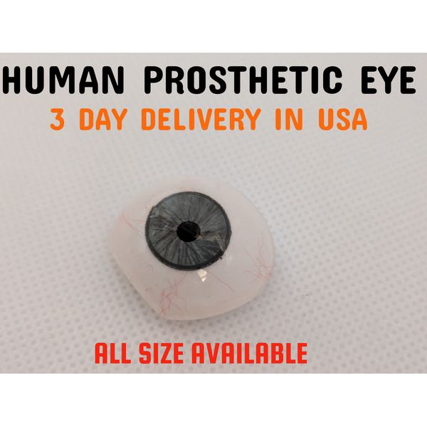 Prosthetic Eye GRAY SHADE Human Artificial Ocular Prosthesis MADE IN USA