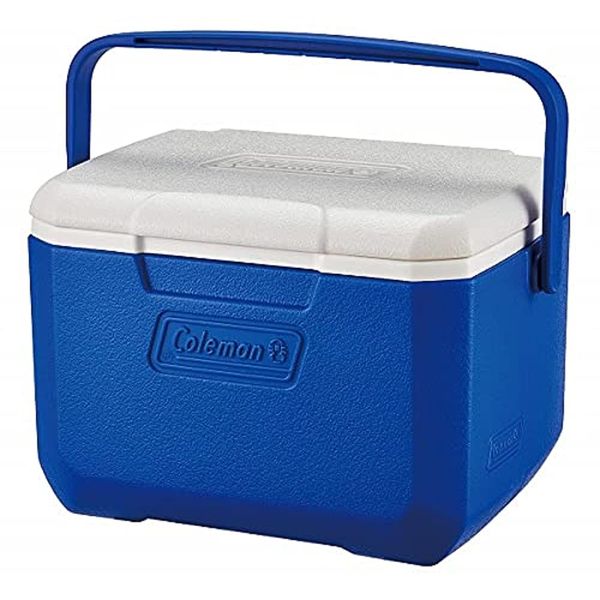 Coleman Performance 6 Personal Cooler, NEW MODEL with hinge lid design, 4 L, Small Cool Box for Food and Drinks, Robust Ice Box, for 6 Small Cans, Stays up to 9 Hours Cool, Lightweight Cooler Box