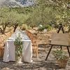 Ginger Ray Sage Hanging Paper Tissue Wedding Backdrop Decoration, Green