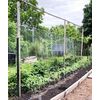 IRRIGATION-MART 6300FT Tomato Tying Garden Twine