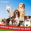Value Pack - Natural Dog Chews-Smoked Beef Bone -Beef Jerky Bites, Trachea