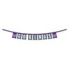 WinCraft Sacramento Kings Banner String Pennant Flags