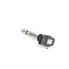 Bosch Automotive 0 986 221 024 Zündspule