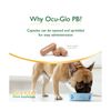 Ocu-GLO PB Vision Supplement for Medium & Large Dogs – Easy to Administer