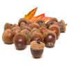 2" Round ~ Fall Acorns Birthday ~ Edible Cake/Cupcake Topper - D3400