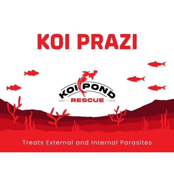 KOI PRAZI Fluke Destroyer for Fish Ponds - 10 Grams