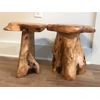 Rustic Cedar Root Flower Stand Stool- 19.5" H Tree Stump Side Table, Handcrafted