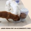 2 Pack Automatic Dog Cat Feeder and Water Dispenser ,Gravity Multi Pet Drinki...