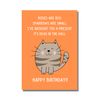 Funny Humorous Cat Birthday Card