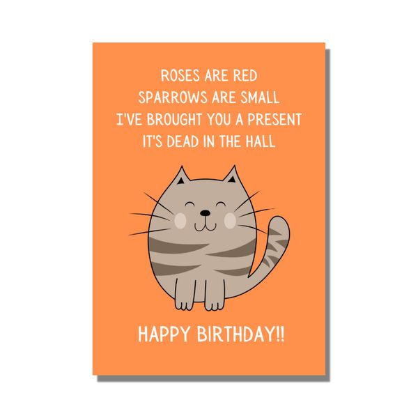Funny Humorous Cat Birthday Card